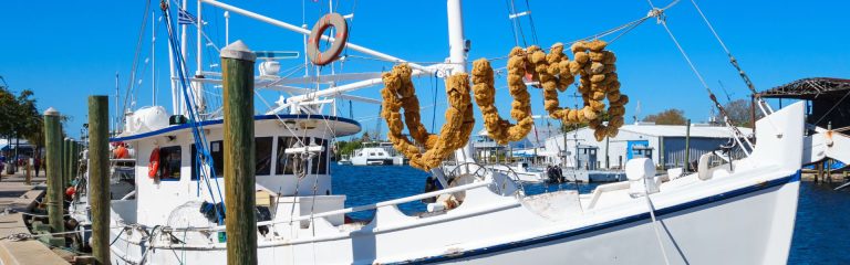 Best Neighborhoods in Tarpon Springs: Where to Live in 2026