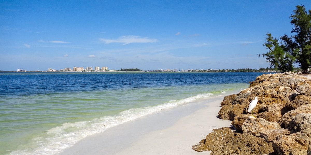 Best Neighborhoods in Indian Rocks Beach: Where to Live in 2025