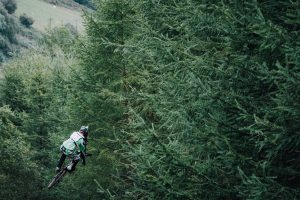 Is Carrollwood Good to Live?