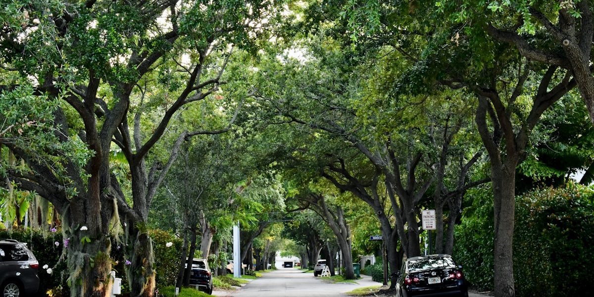 Best Neighborhoods in Kenneth City: Where to Live in 2025