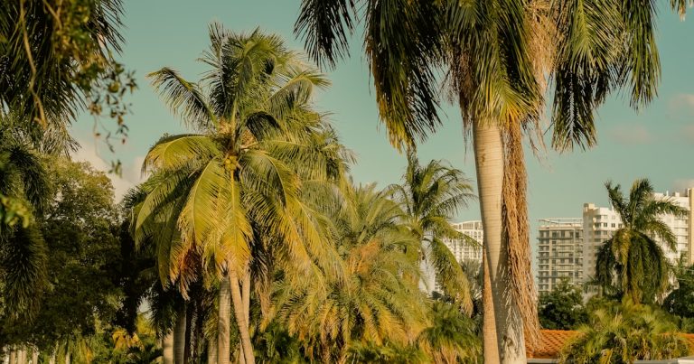 Land O Lakes Housing Market Update: Prices, Trends, and Forecast