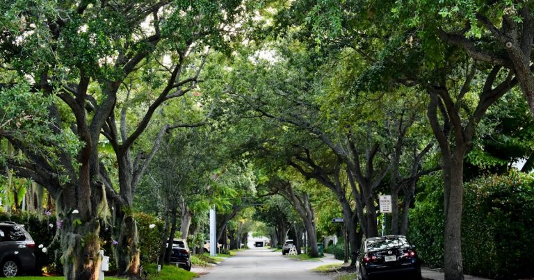 Oldsmar Housing Market Update: Prices, Trends, and Forecast