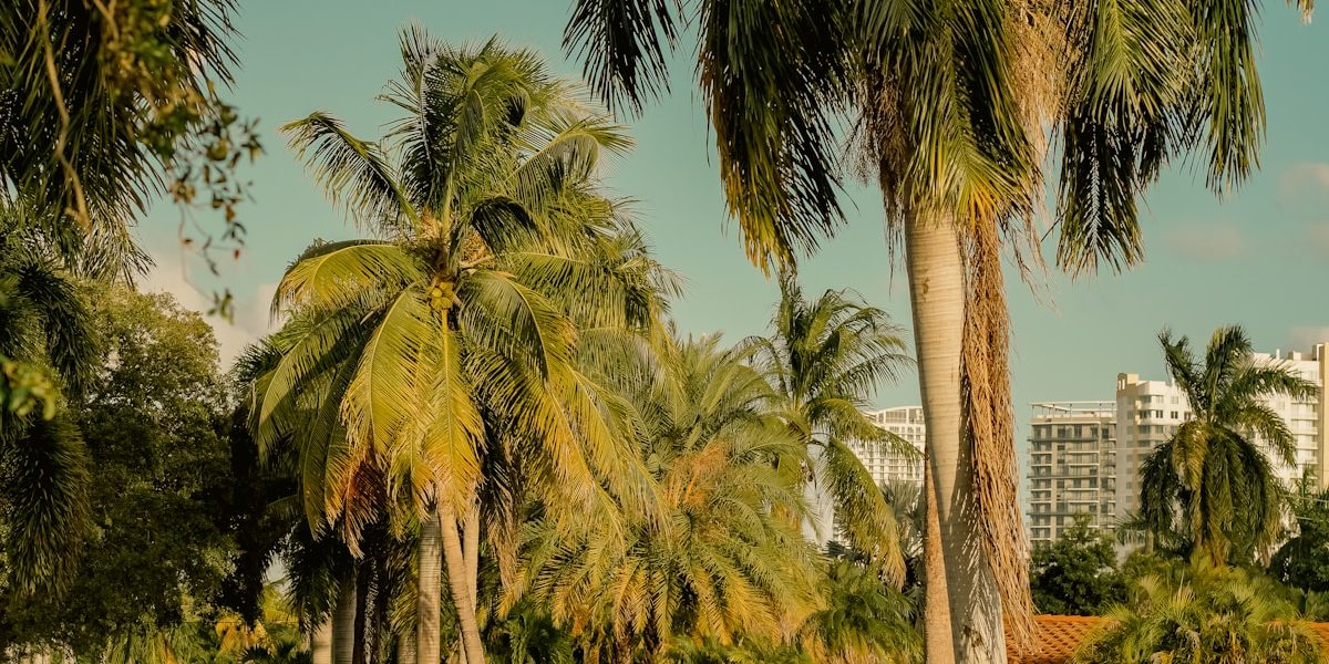 Complete Guide to Hillsborough County Real Estate