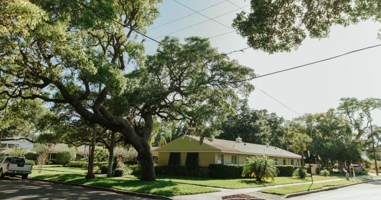 Zephyrhills Housing Market Update: Prices, Trends, and Forecast